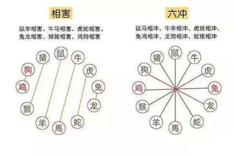 辛 金|八字命理带你深层次剖析辛金命人